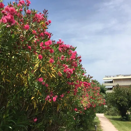 Brigitte Centre Tropez Parking Piscine Wifi Vue